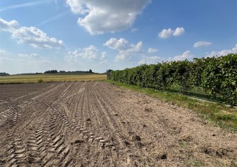 działka na sprzedaż - Tarnowskie Góry, Stare Tarnowice