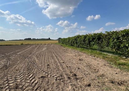 działka na sprzedaż - Tarnowskie Góry, Stare Tarnowice