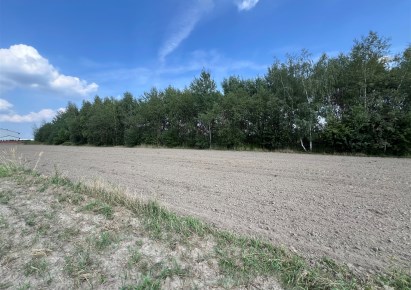 działka na sprzedaż - Tarnowskie Góry, Stare Tarnowice