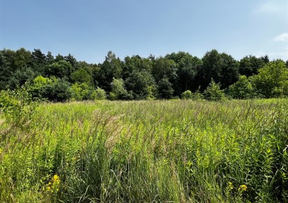 działka na sprzedaż - Świerklaniec, Nowe Chechło