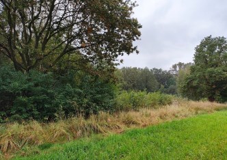 działka na sprzedaż - Tarnowskie Góry, Rybna