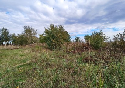 działka na sprzedaż - Tarnowskie Góry, Rybna