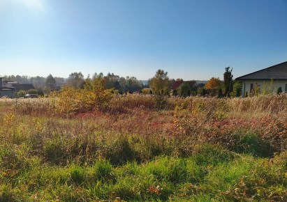 działka na sprzedaż - Ożarowice, Niezdara