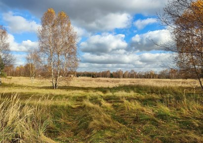 działka na sprzedaż - Koziegłowy, Rosochacz