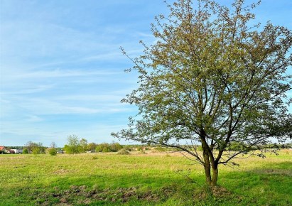 działka na sprzedaż - Tworóg, Świniowice