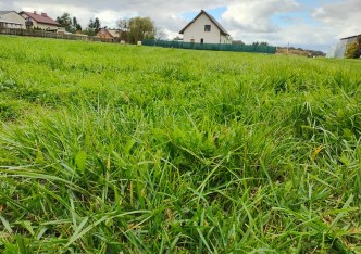 działka na sprzedaż - Tarnowskie Góry, Rybna