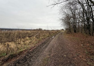 działka na sprzedaż - Świerklaniec