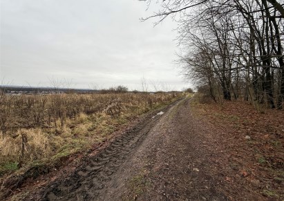 działka na sprzedaż - Świerklaniec