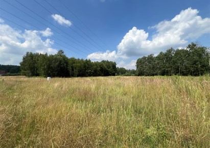 działka na sprzedaż - Pyskowice, Dzierżno