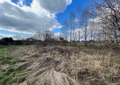 działka na sprzedaż - Tarnowskie Góry, Opatowice