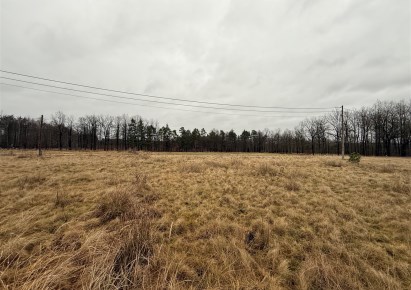 działka na sprzedaż - Woźniki, Dąbrowa Mała