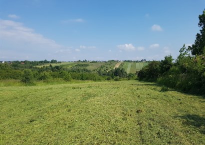 działka na sprzedaż - Mierzęcice, Toporowice