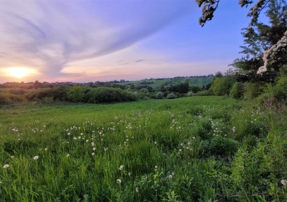 działka na sprzedaż - Mierzęcice, Toporowice