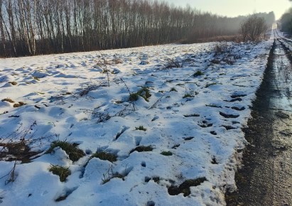 działka na sprzedaż - Koziegłowy (gw), Siedlec Duży