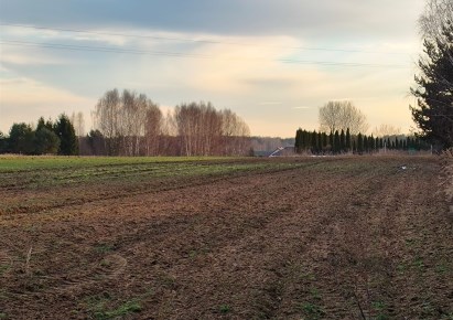 działka na sprzedaż - Ożarowice